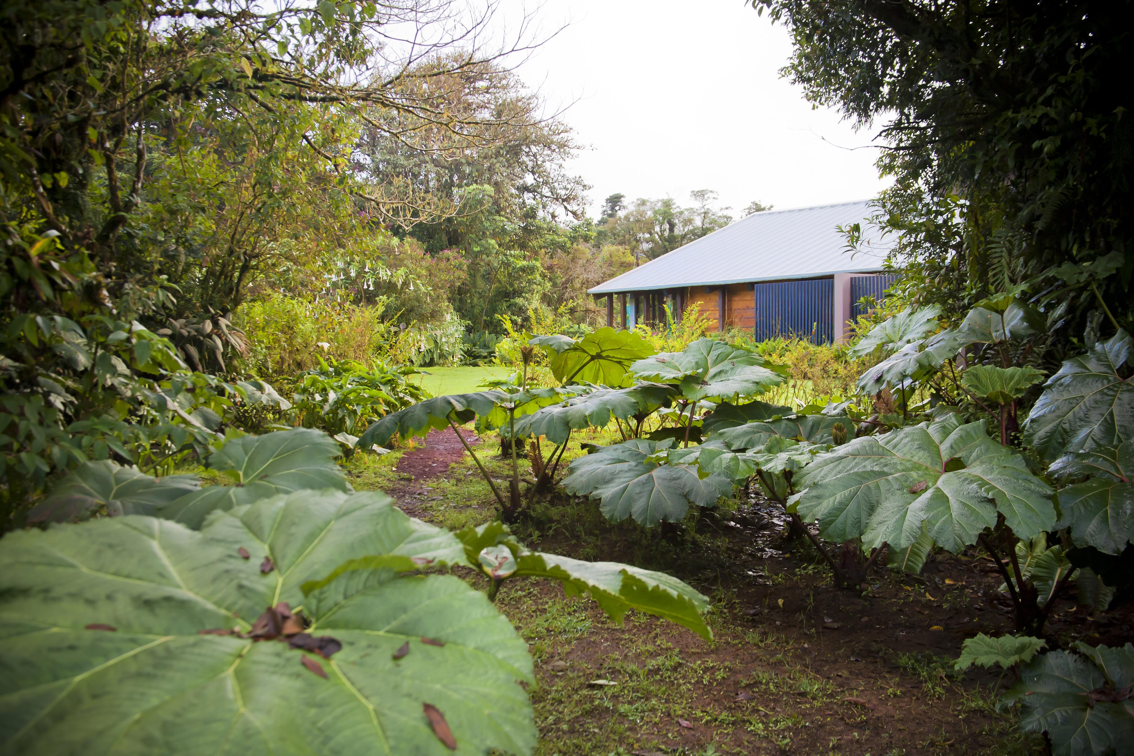 Vara Blanca  Poas Volcano Lodge מראה חיצוני תמונה